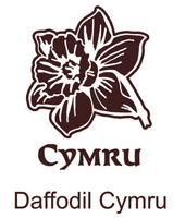 Daffodil Cymru