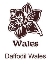Daffodil Wales